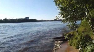 Невский лесопарк берег реки Невы 24.06.22
