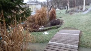 МОЙ САД. СМОЛЕНСКАЯ ЗИМА 2022 НА КУБАНИ.