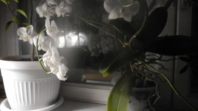 Очи твои смотреть онлайн