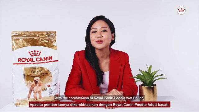 Royal Canin Poodle Adult & Poodle Wet Pouch смотреть онлайн