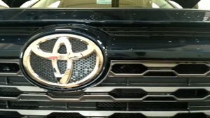 Новый RAV4 обработка и сетка в бампер?