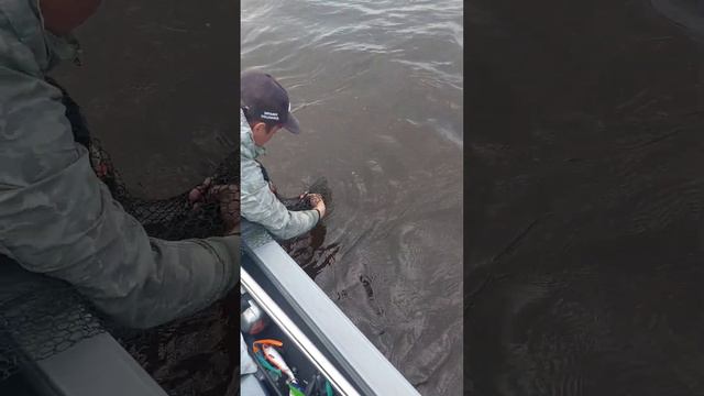 Немного видео зарисовок с воды