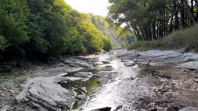 Пространство вариантов/ Выкинуть лишнее/ Курс у Рины Пиантанида смотреть онлайн