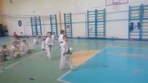 Кумитэ шотокан каратэ мальчики 8 лет.