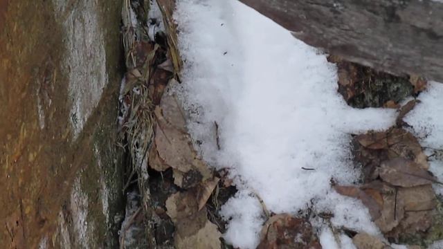 Кизел, Ленинка, серо-водородный источник. смотреть онлайн