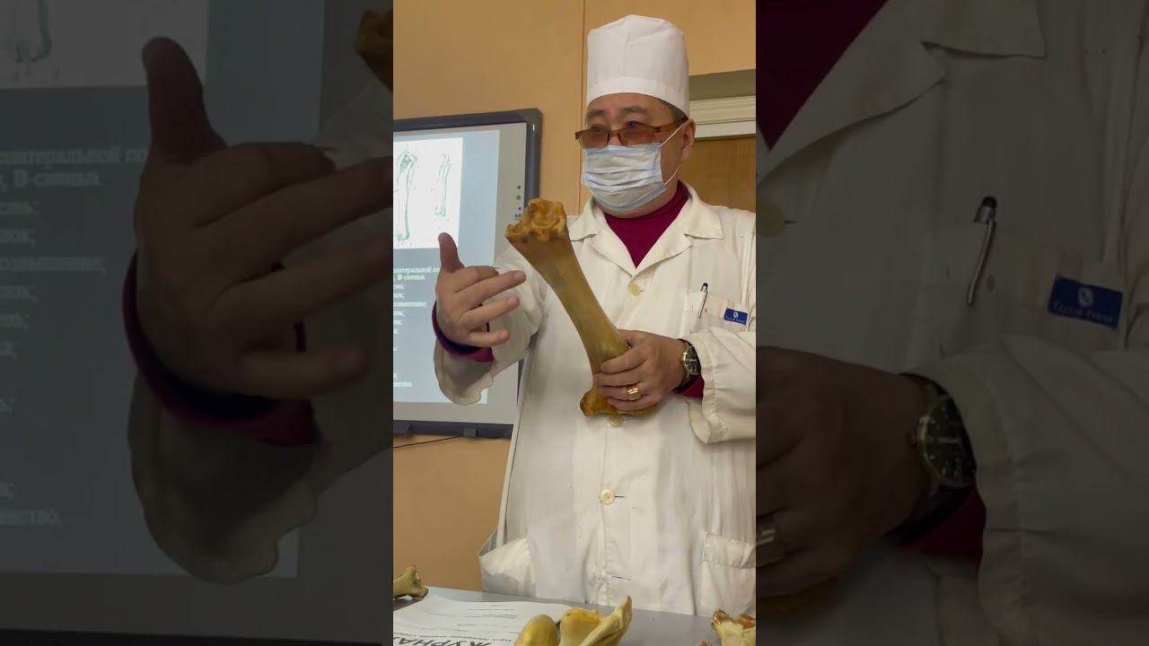 Зейгоподий 2; 25 октября 2023 г. смотреть онлайн