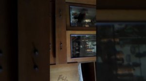 Пытаемся вызвать духа бабадук.