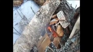 одна палка, два струна