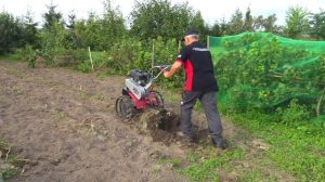 Выкапываем картошку легко и быстро! Как копать мотоблоком! Мобил К МКМ-4