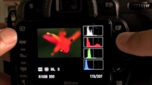 Nikon D90 Image Preview and Review