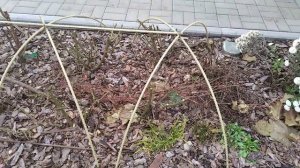 Укрытия для роз