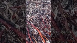 Наталья Андрейченко вернулась домой после мощнейшего тропического шторма в Мексике