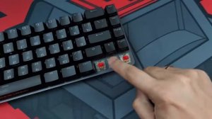 Обзор Asus Rog Falchion | Киберспортивный магазин Clife.ru