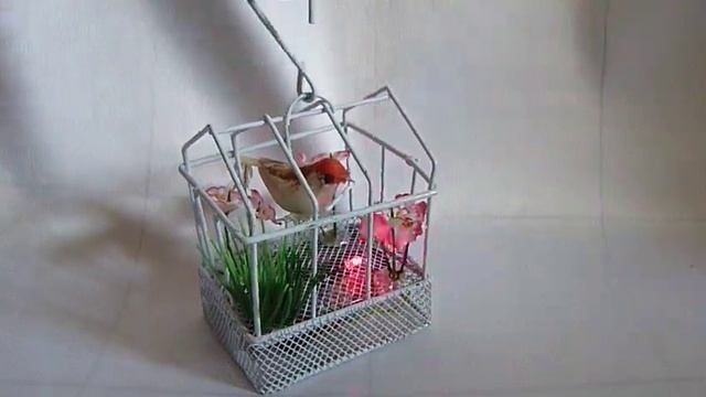 Птица в клетке 2030 со звуком (разные виды) смотреть онлайн