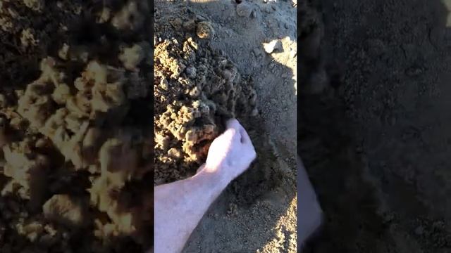 Металлоискатель