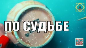 НА ПОРОГЕПРИ ДОРОГЕПО СУДЬБЕ  #ответуолятаро #youtubeshorts #youtube