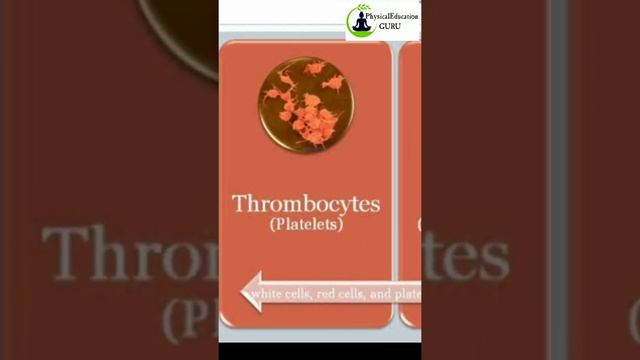 TRICK TO LEARN EASILY | Scientific name | Platelets | White blood cells | Red blood cells | Shots