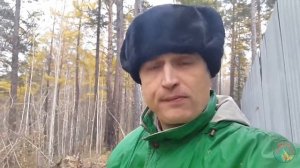 Дары хвойные. Сера Кедровая. Смола. Живица кедровая. Жвачка хвойная. Орешки.Травка супер
