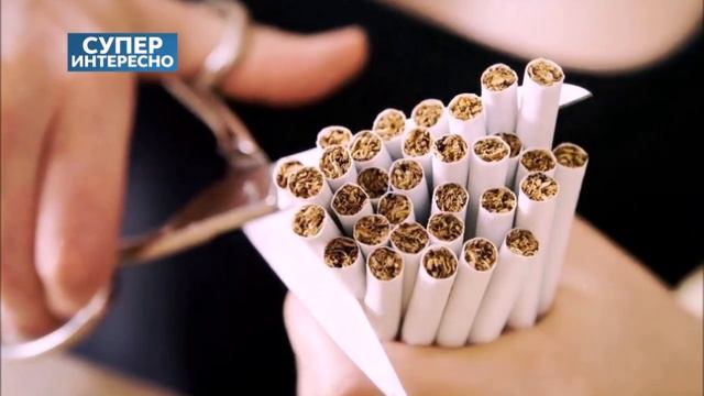 Информационно-просветительская программа "Что уносит дым сигарет?" смотреть онлайн