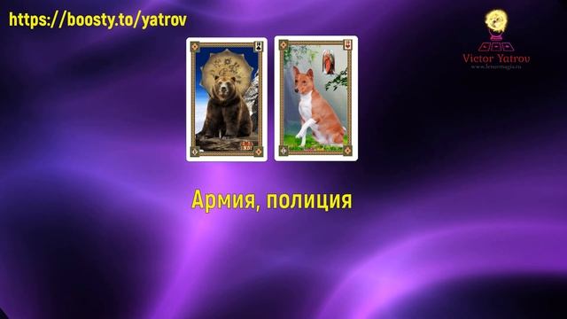 Значения карт Ленорман в теме политики
