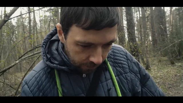 Искали журавлей, а нашли анемоны! [#35]