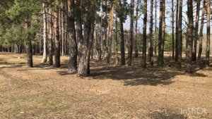 Половодье на реке Клязьма.Апрель 2024