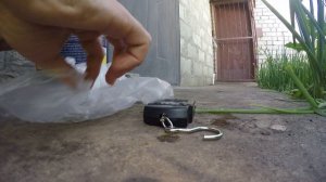 Карп с секретного пруда. Подрос. Улов. Контрольный облов в июле.