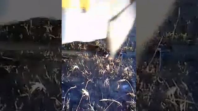 Веселые будни водителя трамвая. Уничтожение HDD 250gb с битыми секторами, трамваем T6B5. :) смотреть онлайн