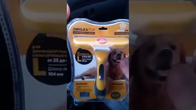 Новый гаджет для собак. Анонс обзора. смотреть онлайн