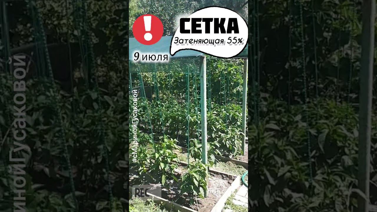 И почему мы раньше не сделали это  Затеняющая сетка от сильного солнца | с Мариной Гусаковой смотреть онлайн