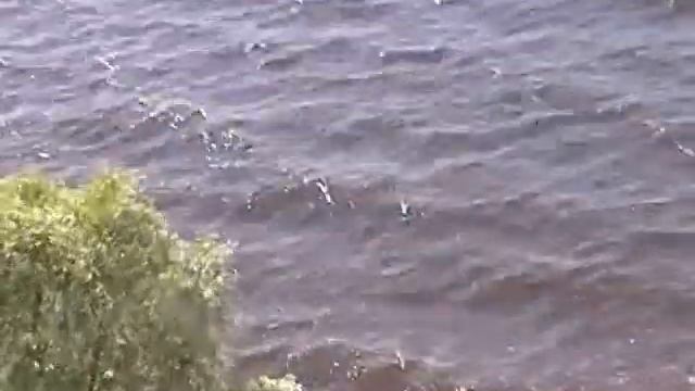 Стихи Николая Рубцова читает Владимир Поляков смотреть онлайн