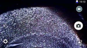 Диагностика двигателя(1NZ-FE) без вскрытия,обзор эндоскопа за 400р и 5000р.