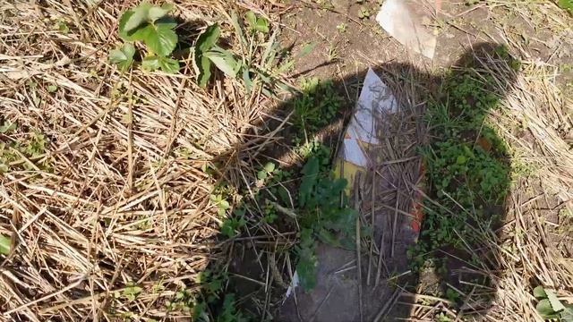 перебарщили с удобрением, спалили клубнику смотреть онлайн