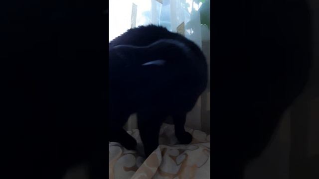 Когда есть с кем поговорить смотреть онлайн