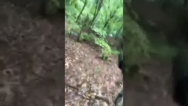 Войска в атаке на видео, опубликованном Вооруженными силами,фейкамёты.mp4 смотреть онлайн