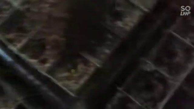 Среда посевная .Перец Баклажаны смотреть онлайн