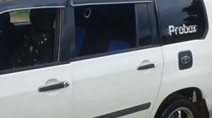 probox tuning