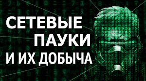 Как соцсети искусственно изменяют общество, разбирается Афанасьев А.