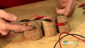 Как сделать из картошки батарейку