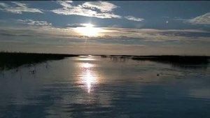 Рыбалка на озере Лача, река Тихманьга
