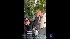 Лайфхак. Дача это тяжелый труд.
