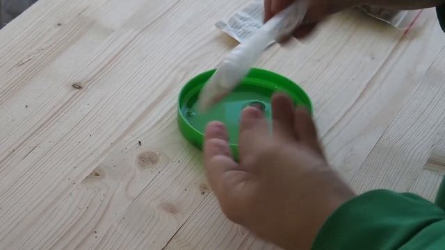 s00e05. Выращиваем кедр дома из набора. смотреть онлайн