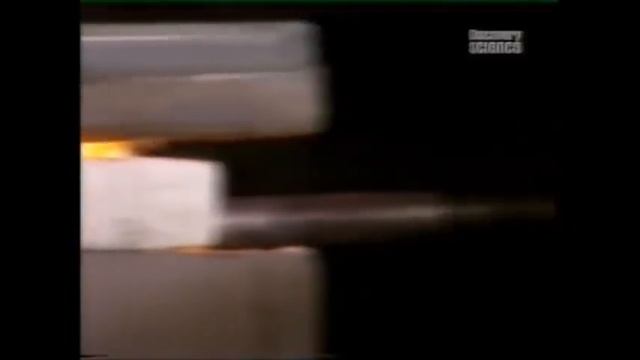 Titanis: The Terror Bird смотреть онлайн