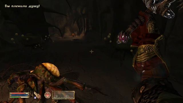 ЧАША ИНВЕРСИИ | The Elder Scrolls IV: Oblivion | #24