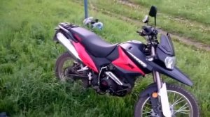 Irbis xr 250 r