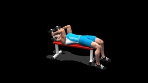 Как накачать большой трицепс? Тренировка трицепса по науке.