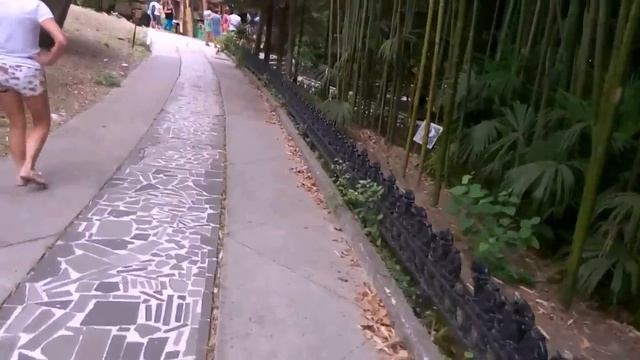 arew1460 Сочи (Дендрарий).mp4 смотреть онлайн