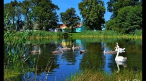 "ОПЯТЬ ЗВОНЯТ КОЛОКОЛА"