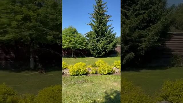 Дом в д. Бритово., Раменский округ, Московская область смотреть онлайн