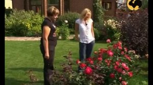 Ландшафтные хитрости